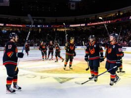 Photo by Mike Zitek/Coachella Valley Firebirds