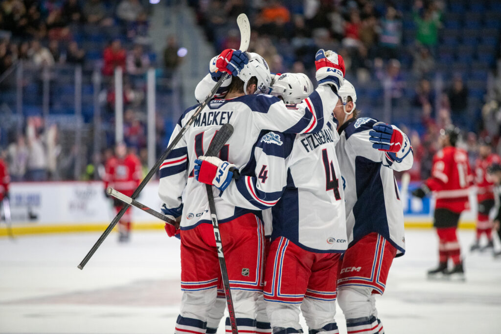 The Hartford Wolf Pack celebrate a goal on November 15th, 2024.