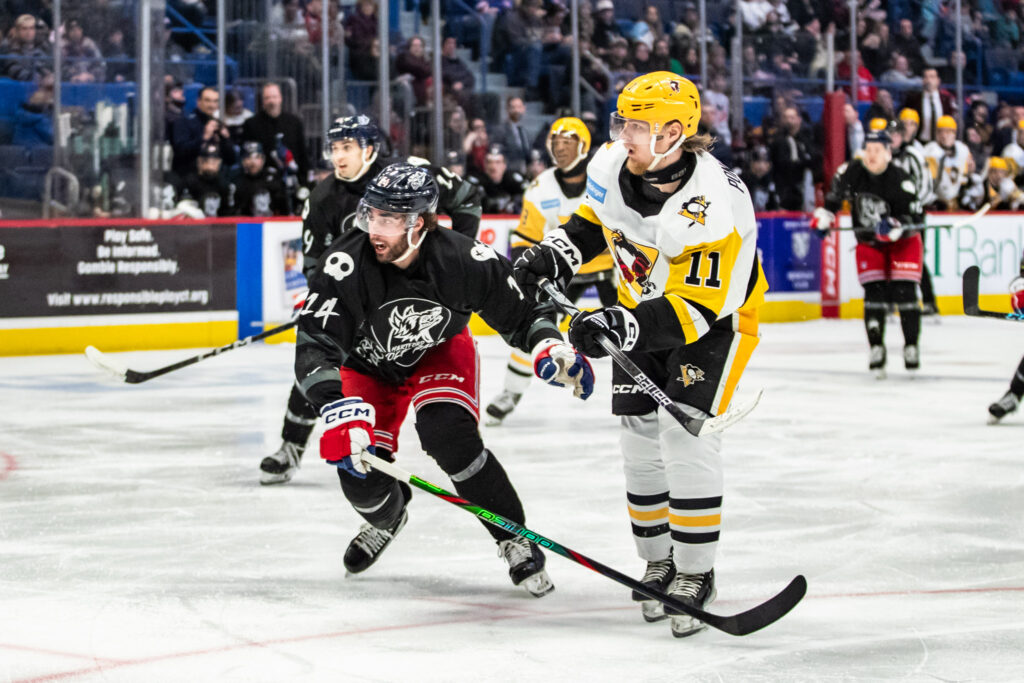 Connor Mackey of the Hartford Wolf Pack, 2/21/2025.