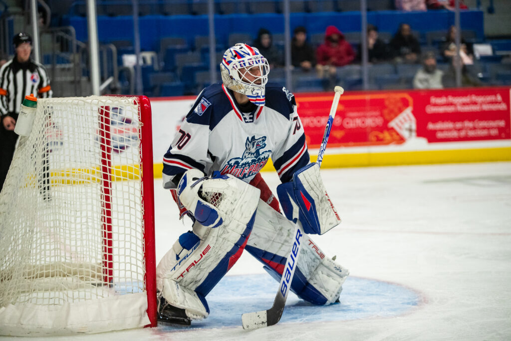 Louis Domingue of the Hartford Wolf Pack, 11/19/24.